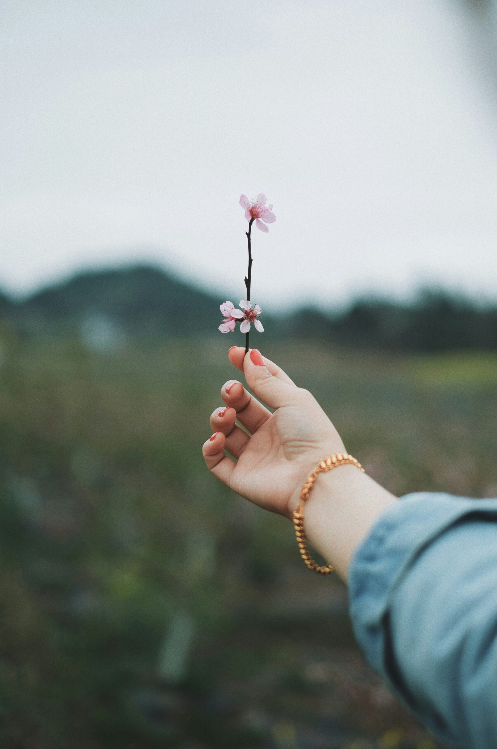 Foto de mano sosteniendo una flor.